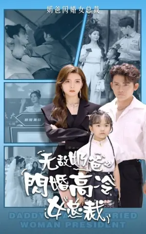 无敌奶爸闪婚高冷女总裁海报