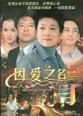 因爱之名海报