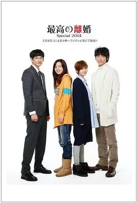 最完美的离婚2014特别篇海报