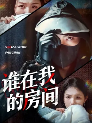 谁在我的房间海报