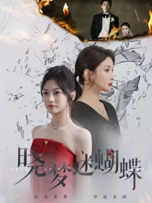 晓梦迷蝴蝶海报