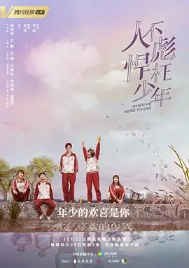 人不彪悍枉少年海报