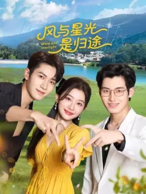 风与星光是归途海报