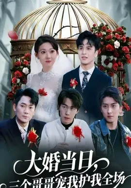 大婚当日,三个哥哥宠我护我全场海报