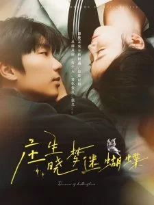 庄生晓梦迷蝴蝶海报