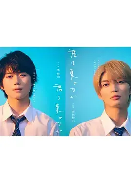你在夏日之中第海报