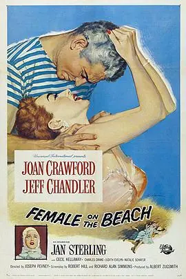 海滩怨妇FemaleontheBeach海报