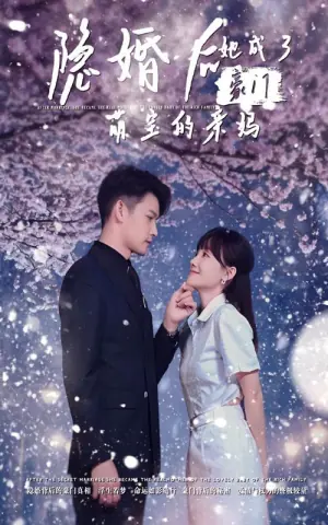 隐婚后,她成了豪门萌宝的亲妈海报