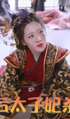 重生后太子妃杀疯了海报