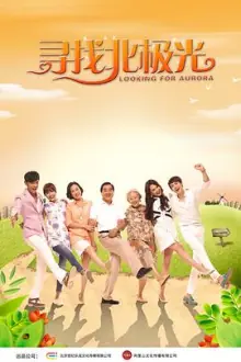 寻找北极光海报
