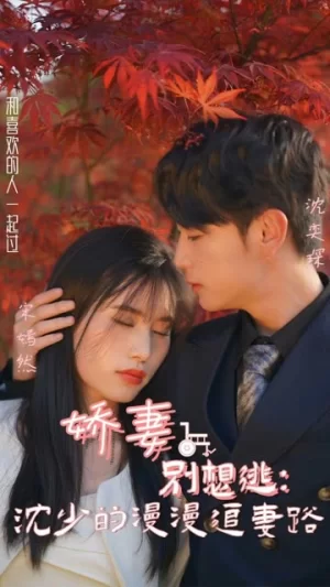 娇妻别想逃:沈少的漫漫追妻路海报