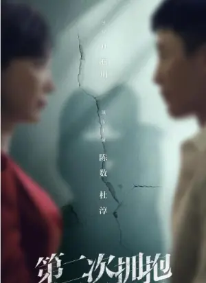 第二次拥抱海报
