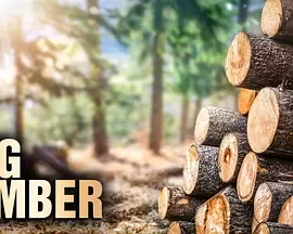 终极伐木达人第二季海报