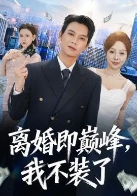 离婚即巅峰,我不装了海报