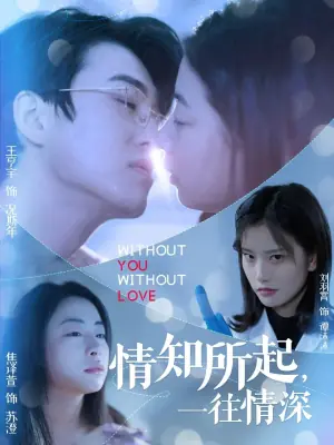 情知所起,一往情深海报
