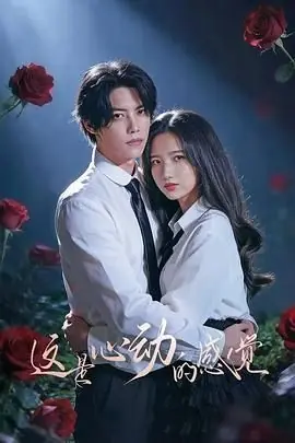 这是心动的感觉海报