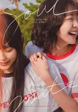 再见,我的灵魂伴侣소울메이트海报