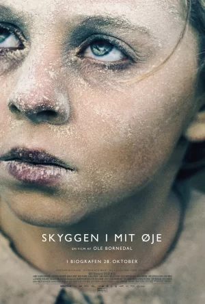 眼帘下的战影海报