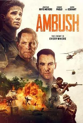 伏击Ambush海报