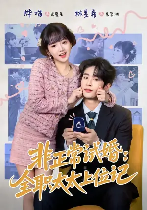 非正常试婚:全职太太上位记海报