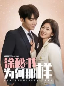 徐秘书为何那样海报