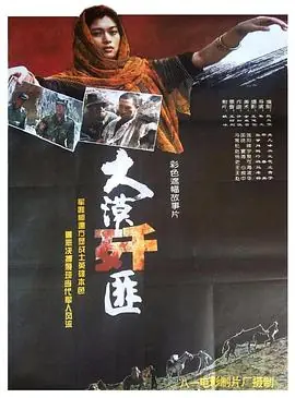 大漠歼匪海报