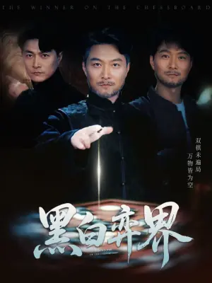 黑白弈界海报