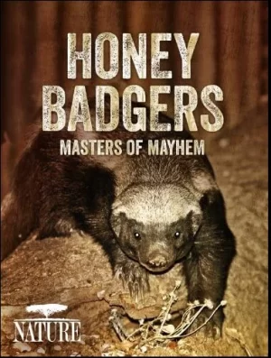 蜜獾:破坏之王海报