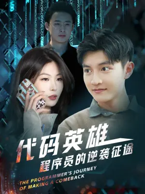 代码英雄程序员的逆袭征途海报