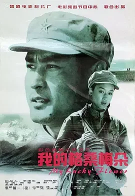 我的格桑梅朵海报