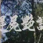 趕屍艷談海报