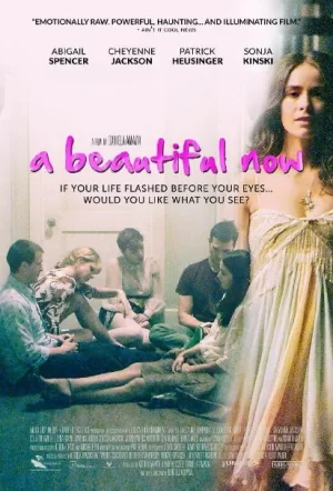 美好的现在海报