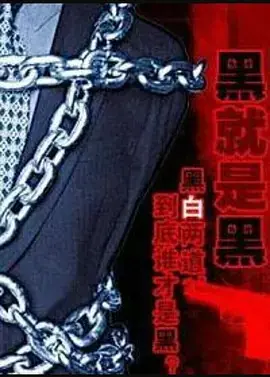 X档案之黑就是黑海报