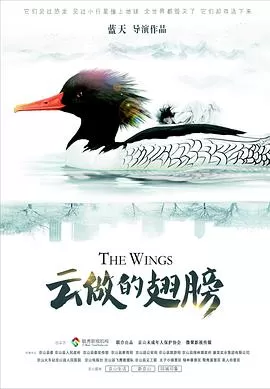 云做的翅膀海报