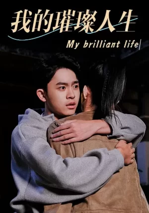 我的璀璨人生海报