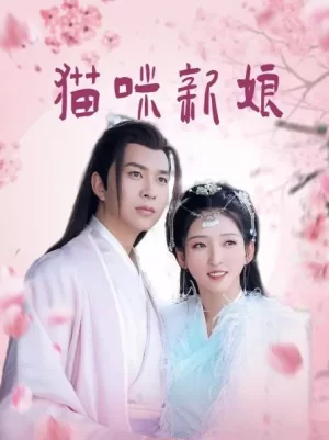 猫咪新娘海报