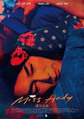 迷失安狄[电影解说]海报