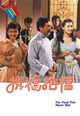 拆档拍档(粤语)海报