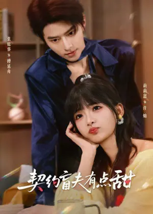 契约盲夫有点甜海报