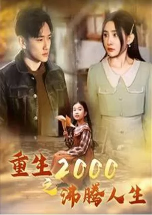 重生2000之沸腾人生海报