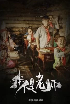 我不是老师海报