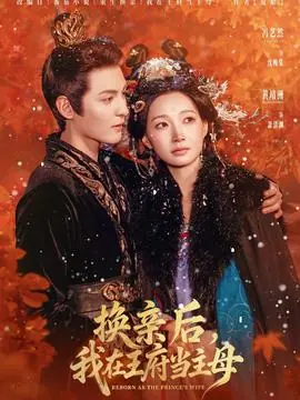 换亲后,我在王府当主母海报