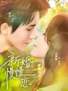 新婚慢慢恋海报
