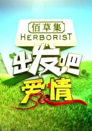 出发吧爱情海报