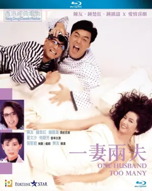 一妻两夫海报