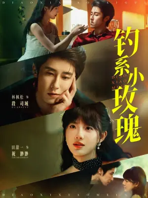 钓系小玫瑰海报