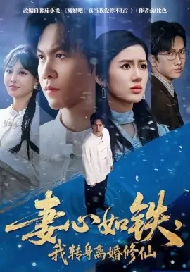 妻心如铁,我转身离婚修仙海报