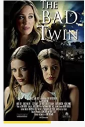 坏双胞胎海报