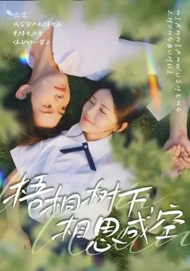 梧桐树下,相思成空海报