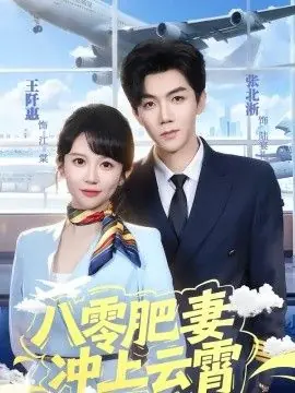 八零肥妻冲上云霄海报